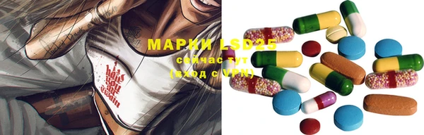 ПСИЛОЦИБИНОВЫЕ ГРИБЫ Гусь-Хрустальный