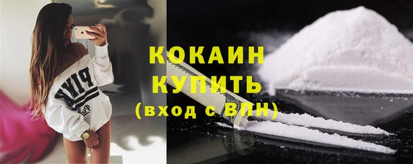 ПСИЛОЦИБИНОВЫЕ ГРИБЫ Гусь-Хрустальный