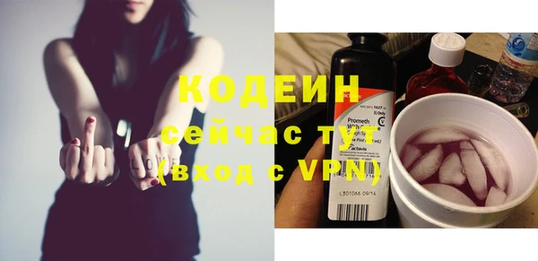 ПСИЛОЦИБИНОВЫЕ ГРИБЫ Гусь-Хрустальный