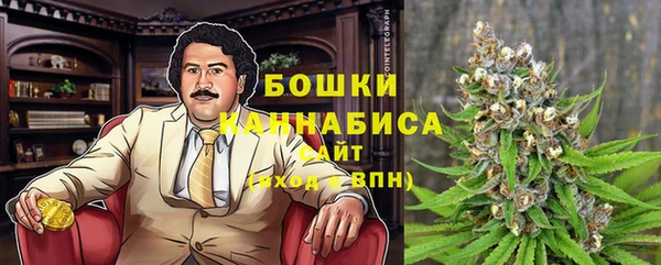ALPHA PVP Гусиноозёрск