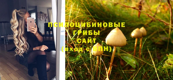 ALPHA PVP Гусиноозёрск