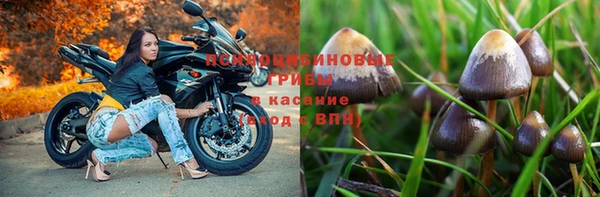 ПСИЛОЦИБИНОВЫЕ ГРИБЫ Гусь-Хрустальный
