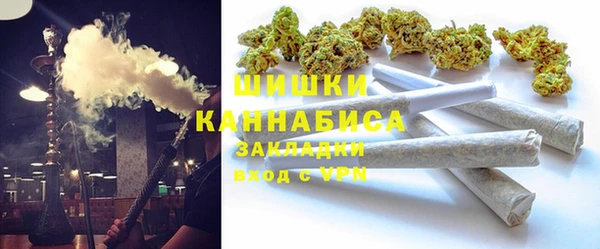 ПСИЛОЦИБИНОВЫЕ ГРИБЫ Гусь-Хрустальный