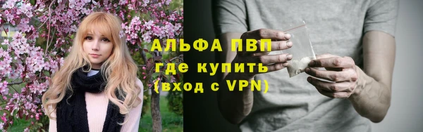 ПСИЛОЦИБИНОВЫЕ ГРИБЫ Гусь-Хрустальный