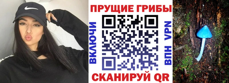 Псилоцибиновые грибы MAGIC MUSHROOMS  Купить где  Семилуки 
